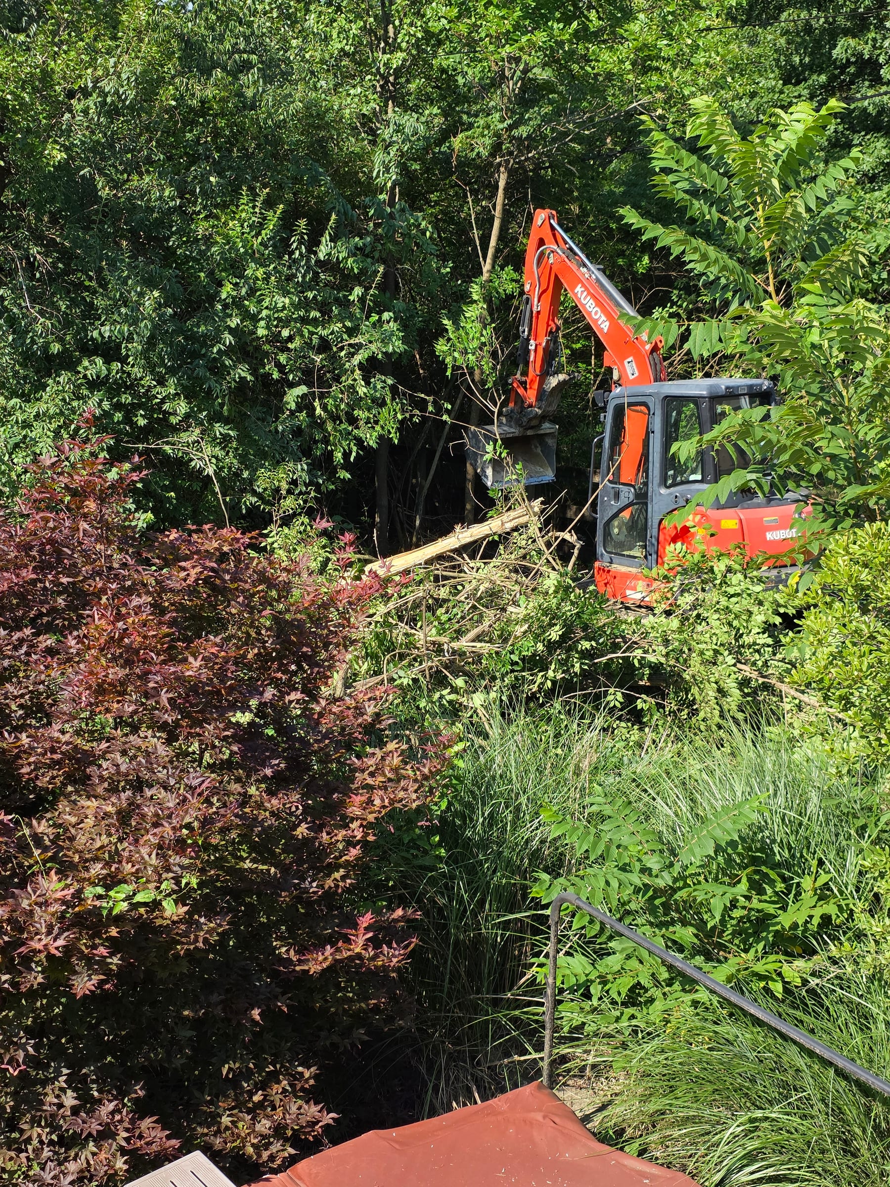 Compact excavator clearing brush and small trees