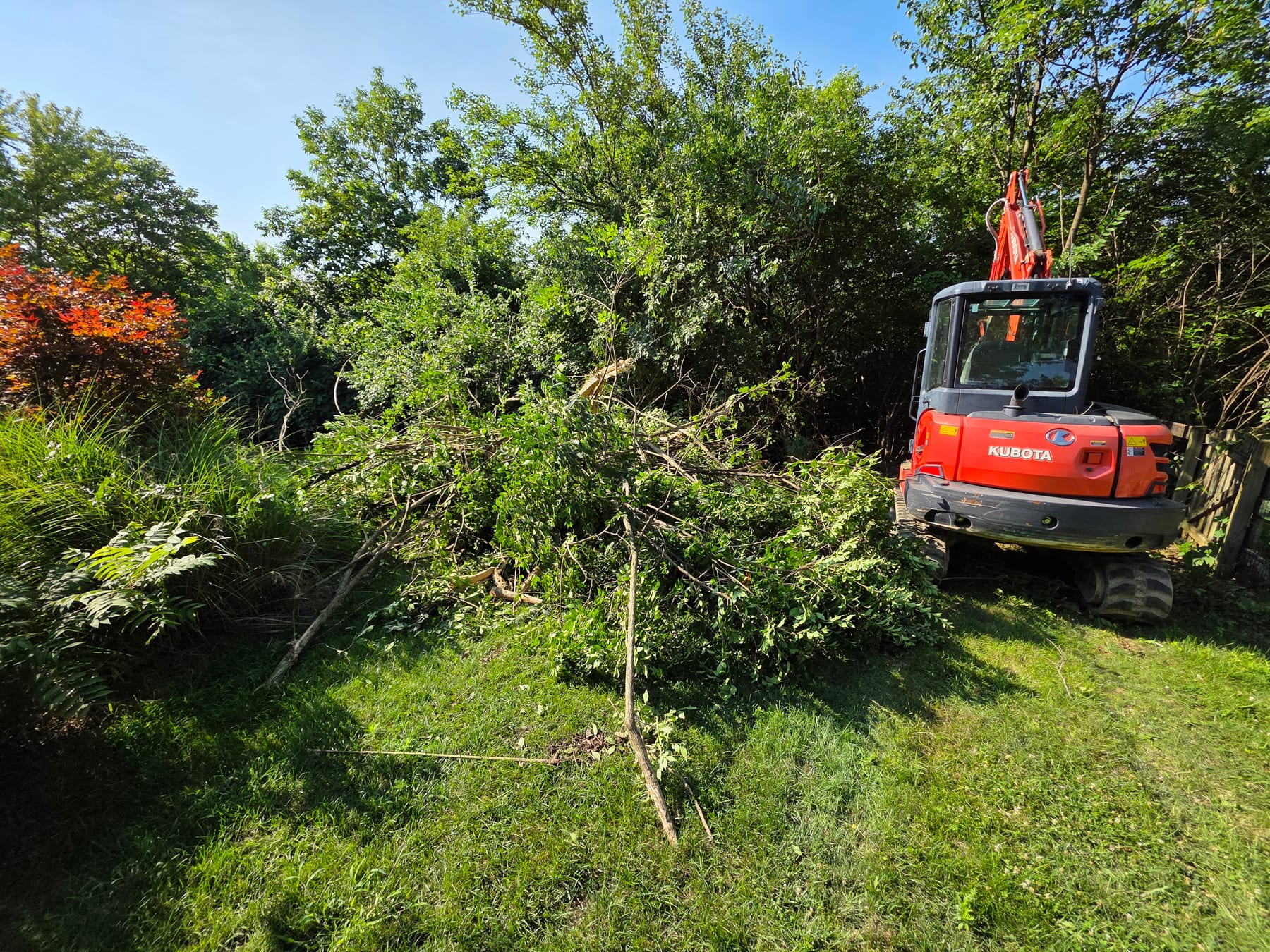 Cut brush gathered beside the compact excavator